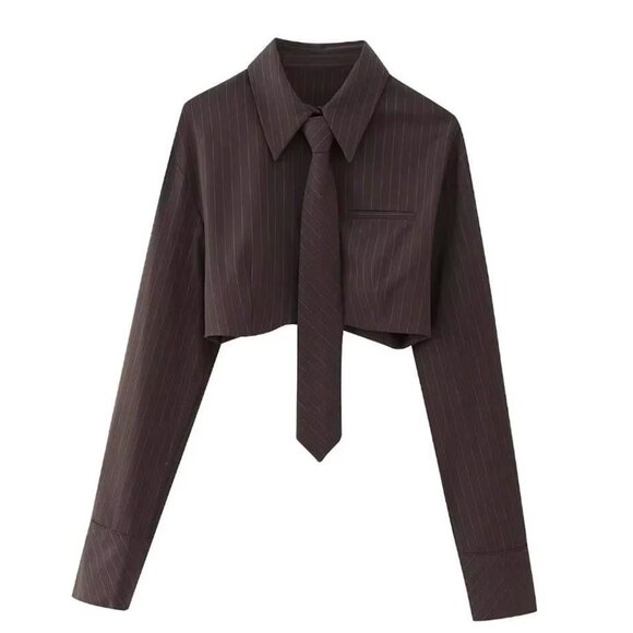 BLOGGER'S FAVE! Zara Striped Crop Shirt With Necktie NWT - Picture 16 of 16